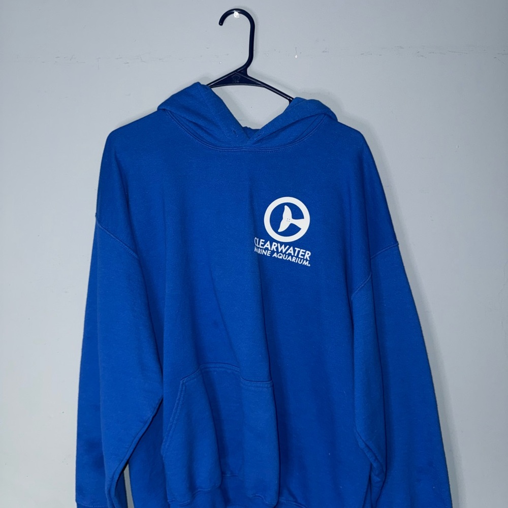 Blue Hoodie